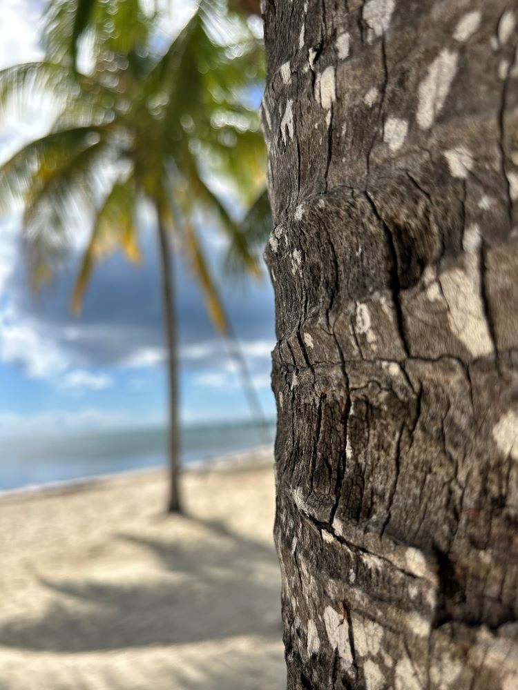 Sharing Space - Photo by Sylvia Makk