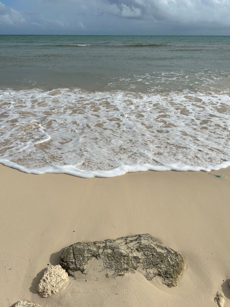 Sea Foam - Photo by Sylvia Makk