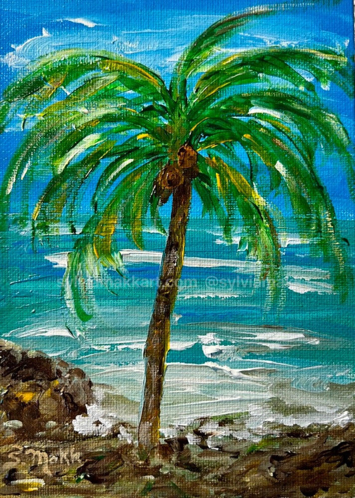 Birthday Palm by Sylvia Makk