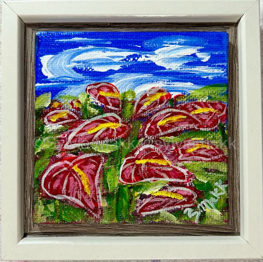 Mini Makk Anthuriums by Sylvia Makk