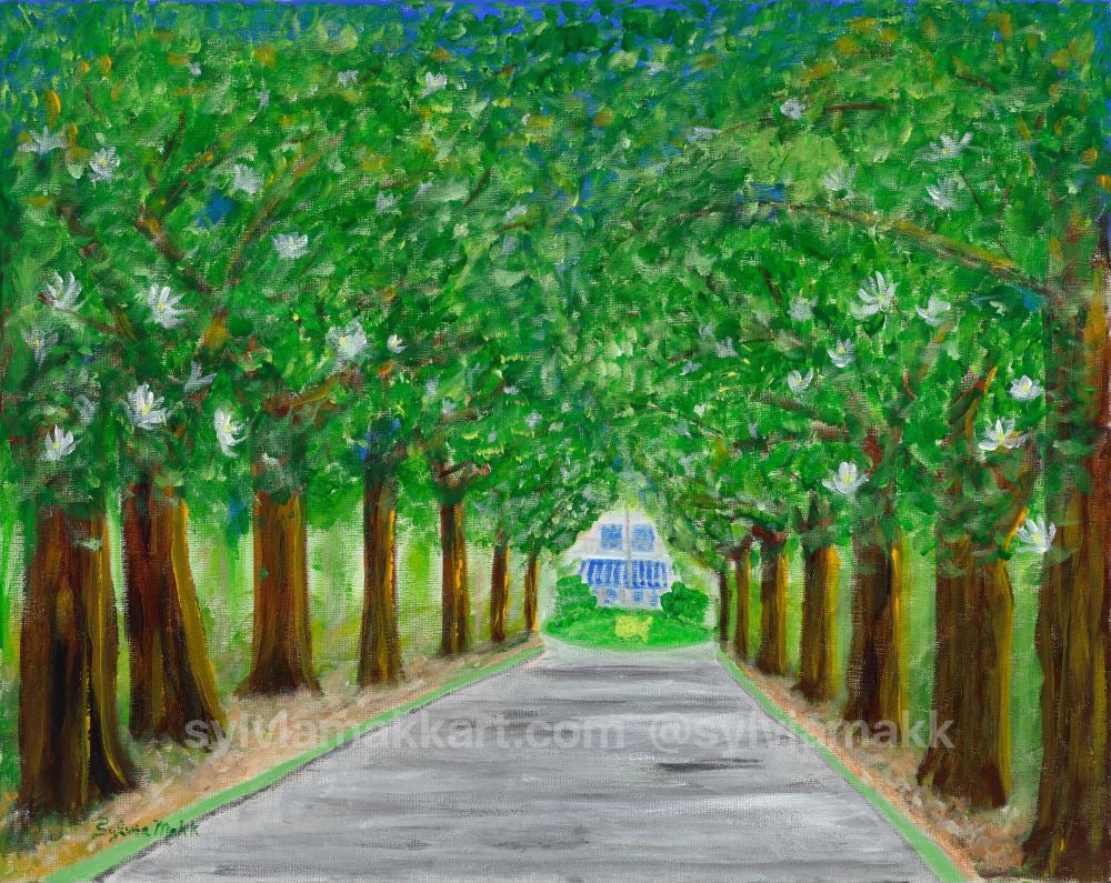 Road to the Masters - Magnolia Lane by Sylvia Makk